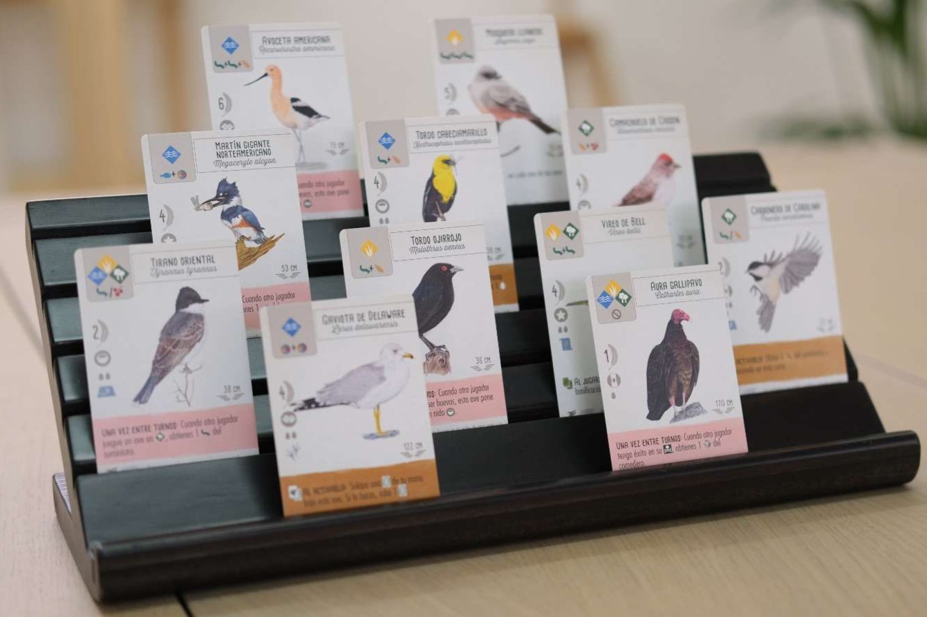 Set De 4 Portacartas Para Niños – Soportes De Cartas De 10 Cm Para UNO Y Juegos De Mesa