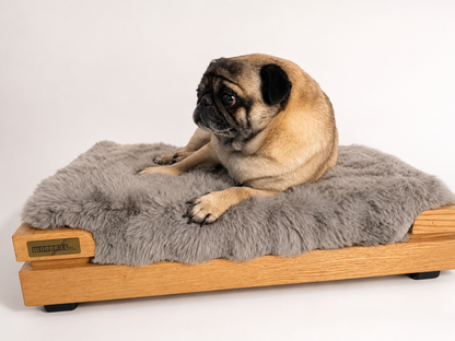 Cama Mediana Premium para tu Compañero Fiel | Encino o Parota de Alta Calidad