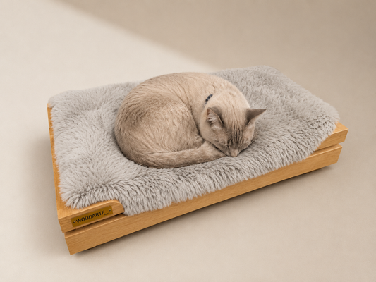 Cama Mediana Premium para tu Compañero Fiel | Encino o Parota de Alta Calidad