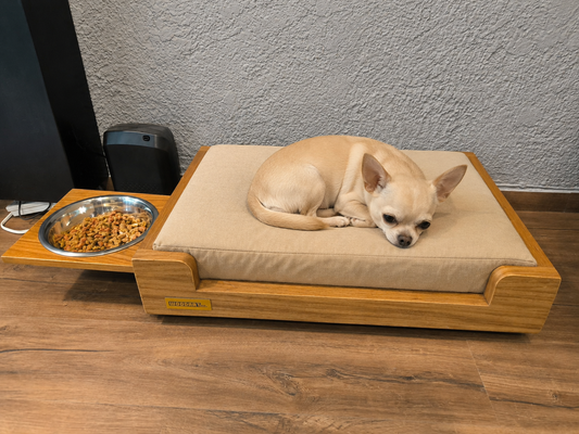 Cama Chica Premium para tu Compañero Fiel | Encino o Parota de Alta Calidad